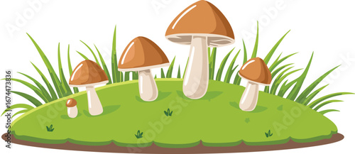 Mossy Patch with Tiny Mushrooms Growing