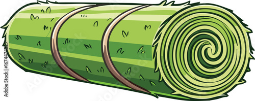 Fresh Rolled Turf Grass for Landscaping Projects