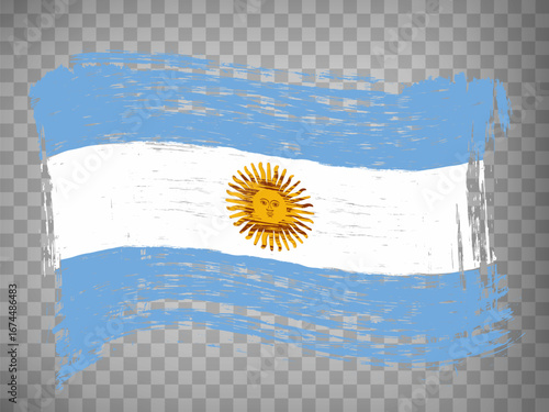 Flag of Argentina brush strokes. Flag of Argentina on transparent background for your web site design, app, UI. Distress style. EPS10.
