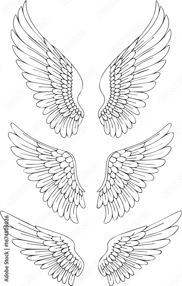 Fototapeta premium wings set silhouette vector minimal on white background