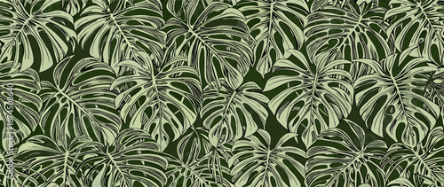 Seamless Tropical Monstera Leaf Pattern, Green
