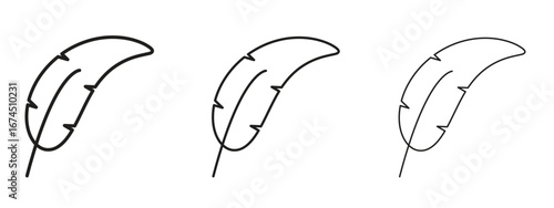 Feather icon in linear versions. Editable line