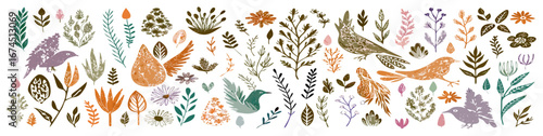 Floral & Bird Clipart Set: Hand Drawn Botanical Illustrations