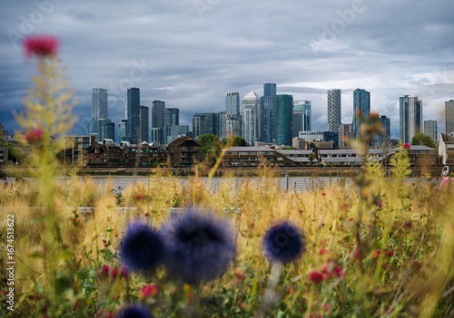Greenwich, London, England, United Kingdom, 16th July 2025, view of Canary Wharf skyline with Greenwich wildflowers in the foreground