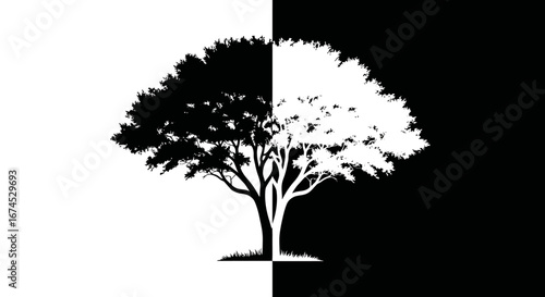 Dichotomous Tree - Black and White Silhouette with Contrasting Halves.