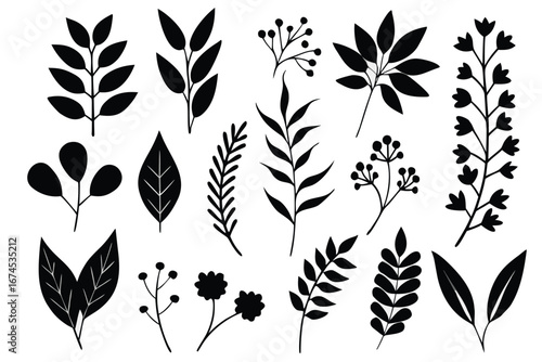 Creative black leaf silhouettes perfect for botanical illustrations or design projects.