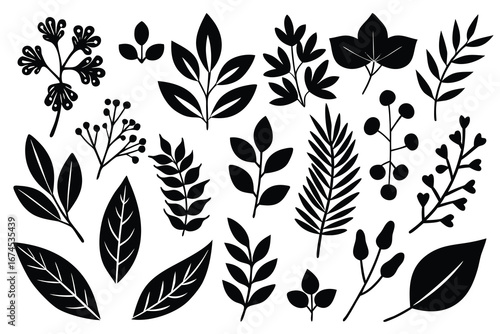 Creative black leaf silhouettes perfect for botanical illustrations or design projects.