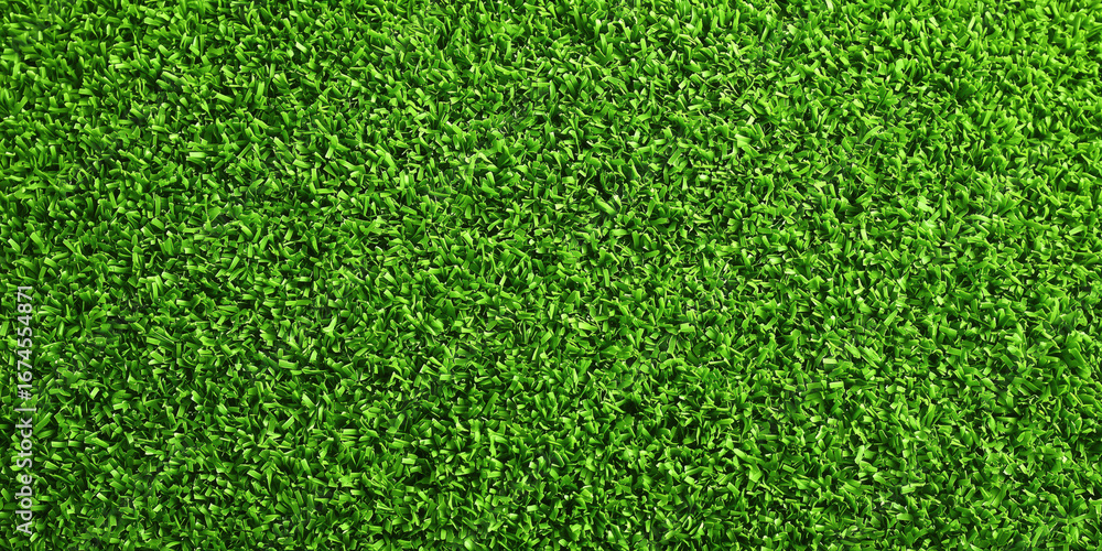 Obraz premium Lush green grass field urban park nature scene outdoor serenity