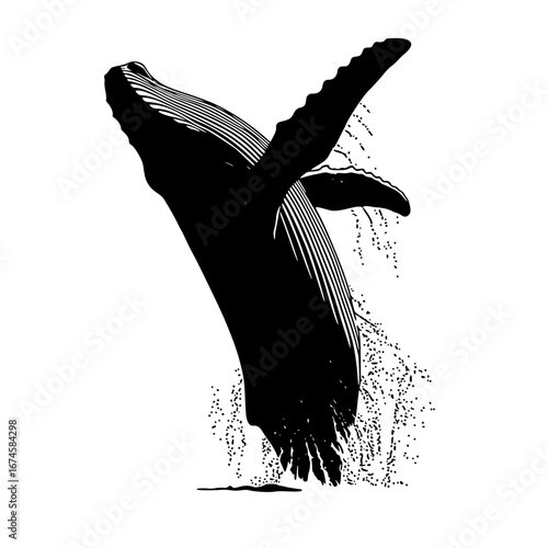 Silhouette of a humpback whale