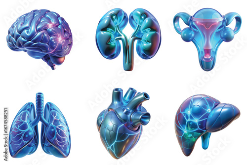 Anatomical 3d renderings of futuristic human organs, glowing cybernetic sci-fi medical concept