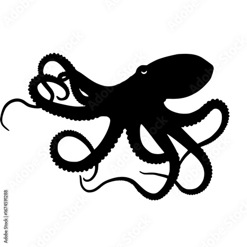vector illustration of an octopus