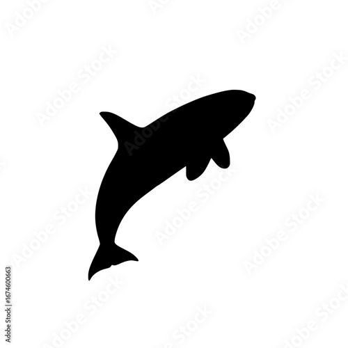 silhouette of a shark