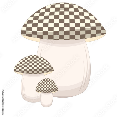 porcini mushroom