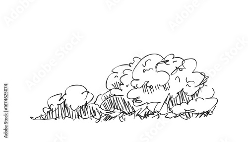 Original vector tree hand-drawn line art, ink style, concept design. isolated silhouette on white background. black outline sketch illustration. Cower drawing. Black-white icon.