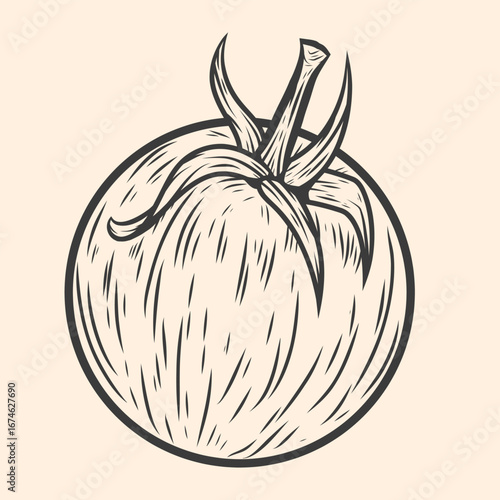 Hand-drawn vector illustration of tomato. Vegetable line art, detailed designs, food and natural product branding, packaging, and decorative elements. Isolated black and white sketch style