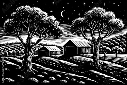Olive farm at night with barns, moonlit trees and quiet rustic countryside black and white sketch