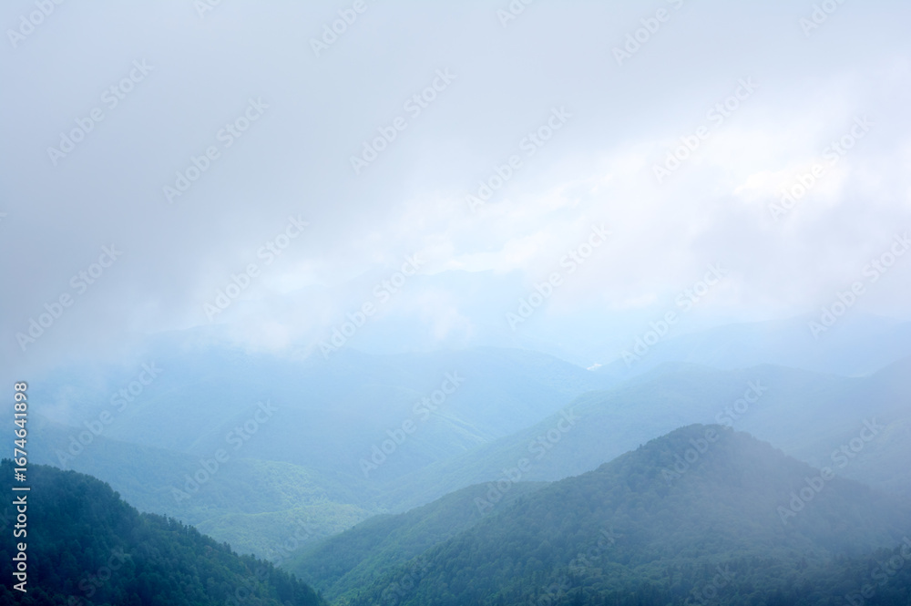 Naklejka premium A mystical view of green mountains partially concealed by thick, swirling fog, where glimpses of lush slopes emerge like islands in a sea of mist.