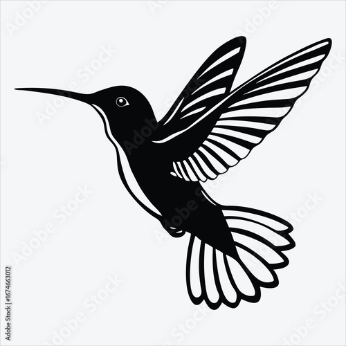 Hummingbird line art White background illustration Generative Ai
