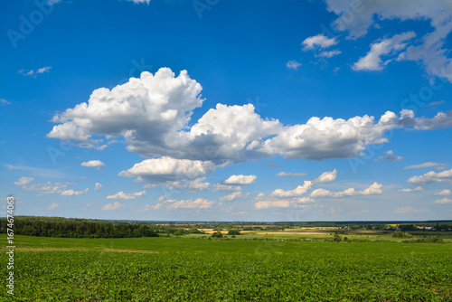 Landscape of green agricultural field against blue cloudy sky