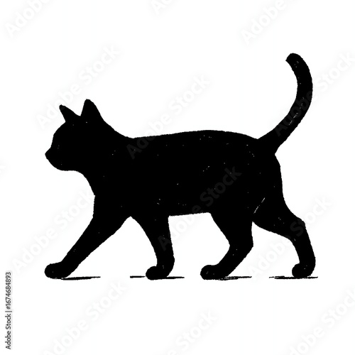 black cat silhouette