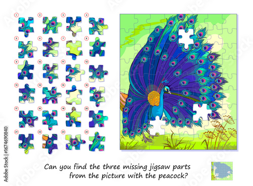 Can you find the three missing jigsaw parts from the picture with the peacock? Game find and search. Logic puzzle for children and adults. Page for kids brain teaser book. Flat hand drawn vector.