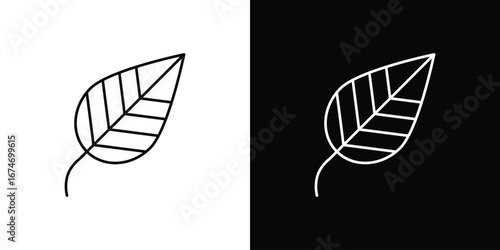 Leaf icon. Minimalistic sign drawn with black and white lines
