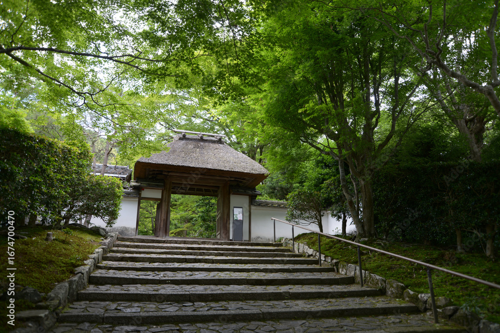 Fototapeta premium 新緑の安楽寺 山門 京都市左京区鹿ケ谷