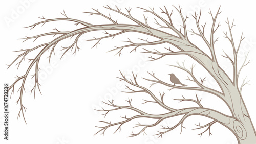 Bare Winter Tree Branches with Small Bird Perching. Serene Nature Graphic for Seasonal Web Design, Blog Headers, and Tranquil Backgrounds.
