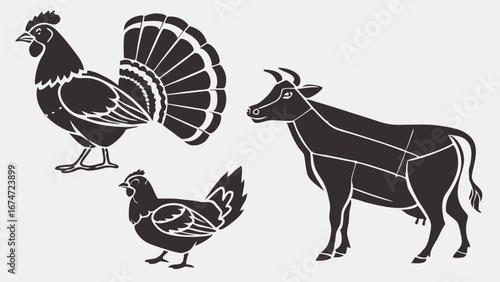 Farm Animals Meat Cuts Vector Illustration Rooster Hen Chicken Cow Beef Poultry Butchery Food Industry Agriculture Restaurant Menu Design