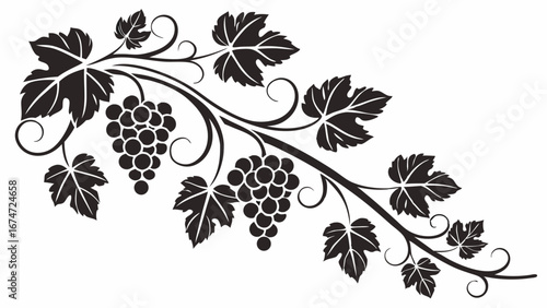 Black silhouette grape vine with leaves and fruit. Elegant decorative vector design element for wine, food, and nature.