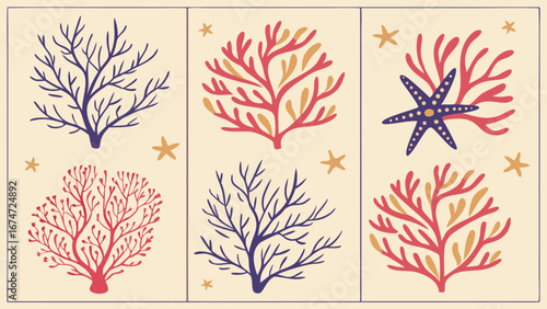 Hand drawn colorful coral and sea plants vector illustration set. Marine life collection with starfish. Ocean reef elements.