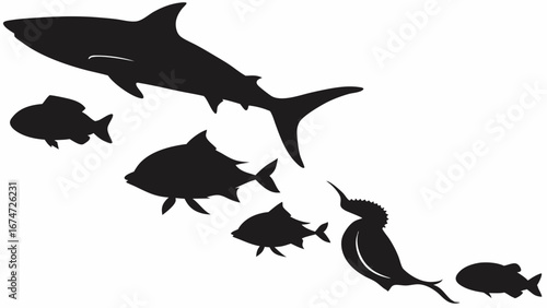 Shark, fish, and aquatic bird silhouettes. Marine food chain concept. Ocean wildlife predator prey ecosystem.