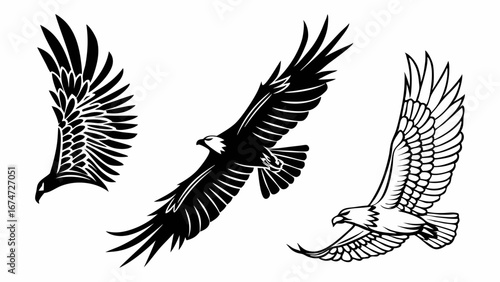 Flying eagle vector illustration set. Majestic birds with spread wings in flight. Freedom, power, and nature symbol graphic collection.