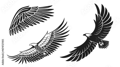 Flying eagle wings and majestic eagles set. Bird predator symbol. Freedom, power, strength concept. Isolated vector graphic design.