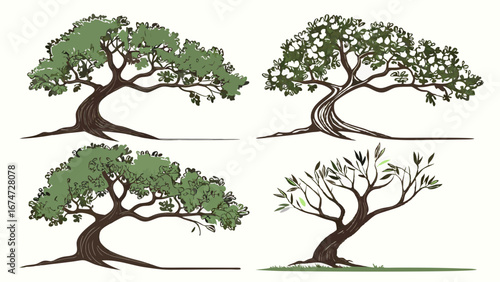 Olive trees vector illustration set. Green nature plant elements for logo design, organic food, healthy lifestyle, and agriculture.