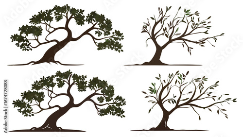 Set of stylized olive trees vector illustration. Green nature plant icons with branches and leaves. Organic garden design elements.