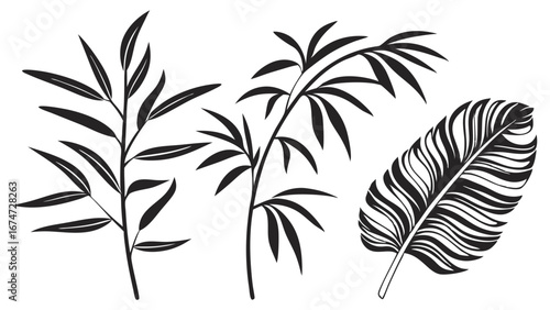 Black and white leaves silhouette vector illustration set. Tropical palm and willow plant branches. Nature botanical design elements.