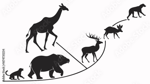 Animal Evolution Silhouettes. Wildlife Species Progression, Diversity, and Development. Nature and Biology Concept Diagram.