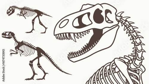 Dinosaur skeleton illustration. Prehistoric fossil bones for science, education, and paleontology. Ancient extinct animals.