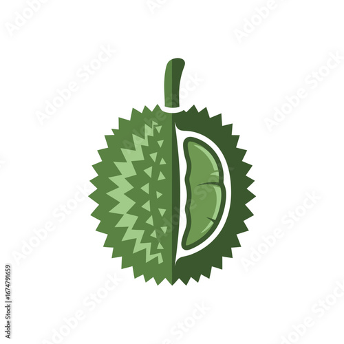 Detailed illustration of a durian fruit, showcasing its spiky exterior and edible interior.