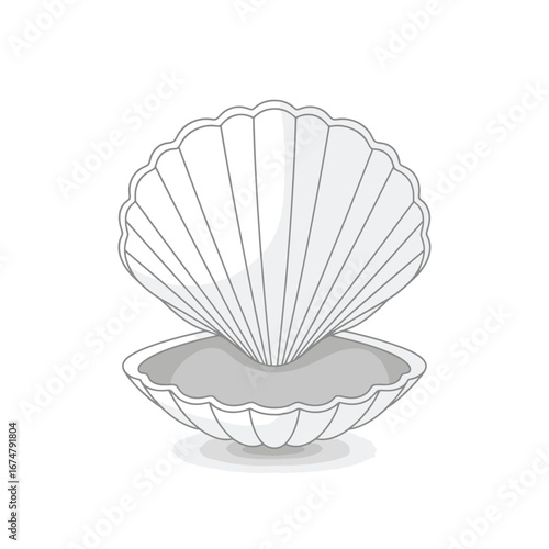 A detailed illustration of an open white scallop shell resting on a bed of sand.