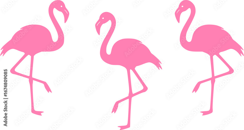 Obraz premium flamingos vector silhouette art illustration
