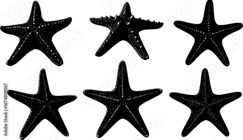 Common starfish or sea star fish under water world nature silhouette vector art set

