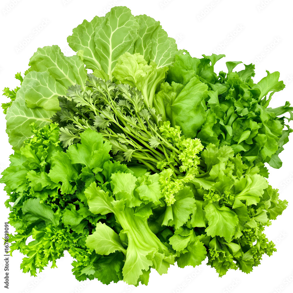 Obraz premium Fresh Green Leafy Vegetables A Vibrant Mix for Healthy Eating