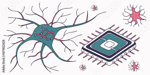 The Symbiotic Relationship Between Biological Neurons and Advanced Computer Processors