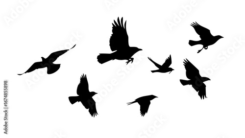 Collection of Black Bird Silhouettes in Various Poses flying perched