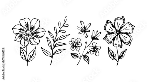 Hand Drawn Floral Elements flowers leaves