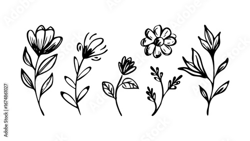 Hand Drawn Ink Flowers and Leaves floral botanical