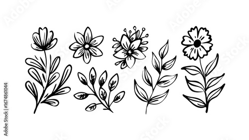 Hand Drawn Ink Flowers and Leaves floral botanical