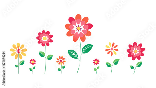 Colorful blooming flowers with green leaves petals